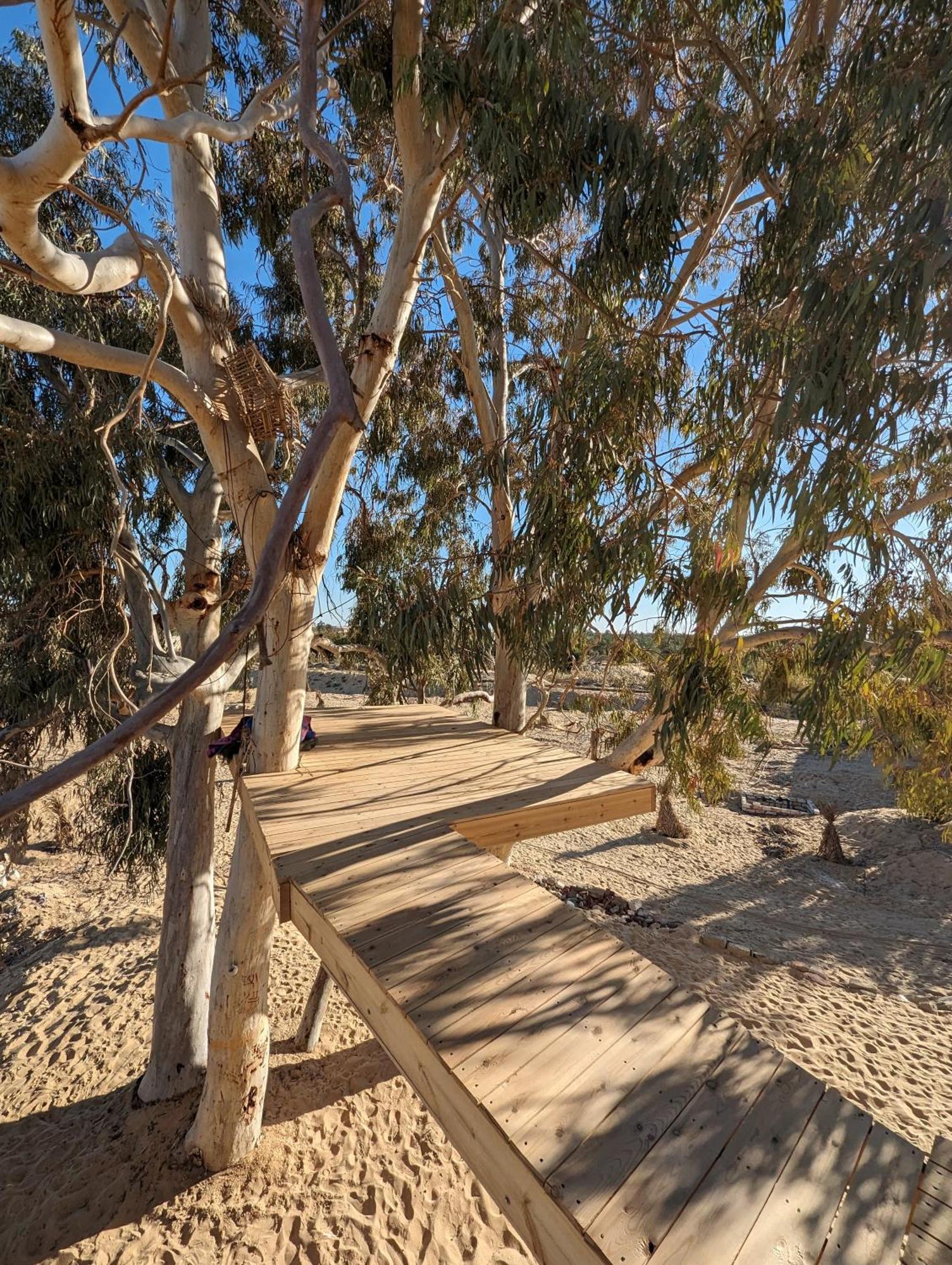 Cafour House Siwa - Hot Spring Hotel Siwa Oasis Exterior photo