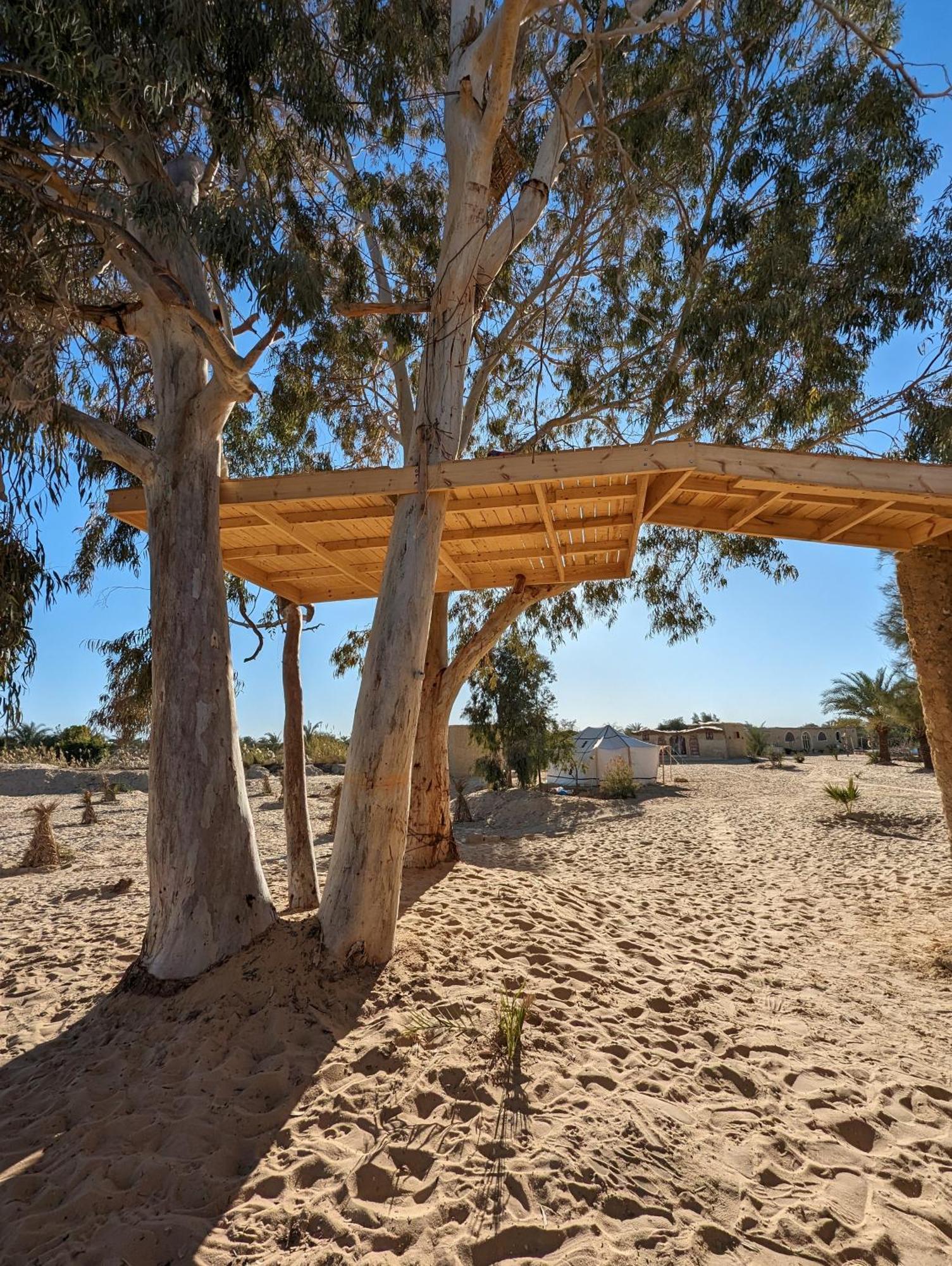 Cafour House Siwa - Hot Spring Hotel Siwa Oasis Exterior photo