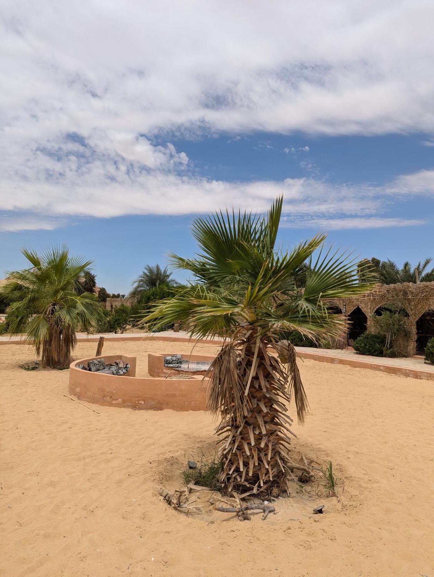 Cafour House Siwa - Hot Spring Hotel Siwa Oasis Exterior photo